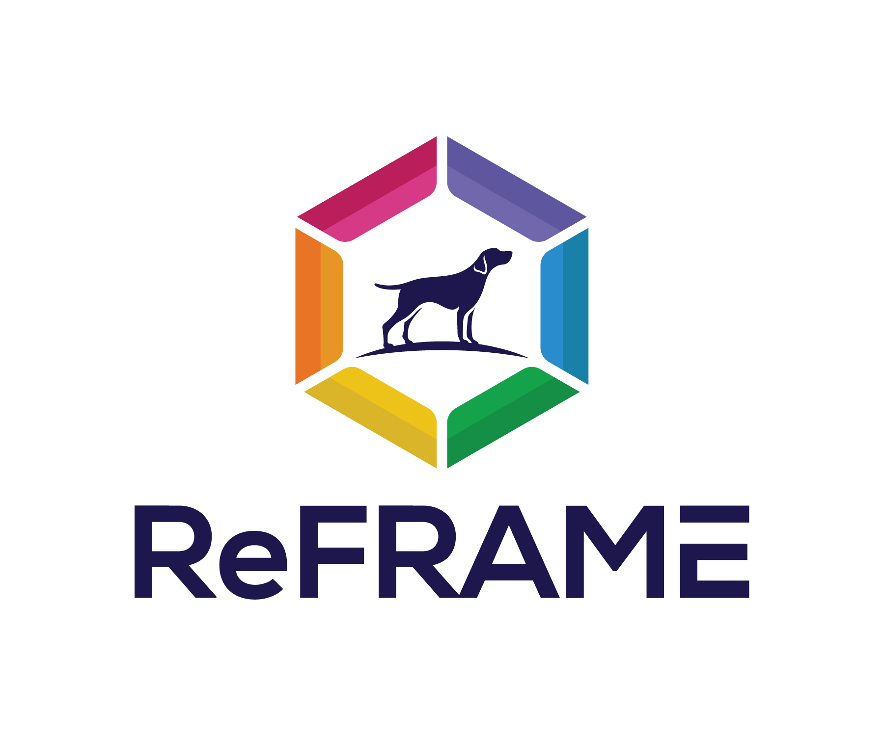 ReFRAMING Resilience