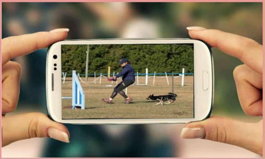 Playback To Podium: How To Effectively Use Video Review To Amplify Your Success In Dog Sports!