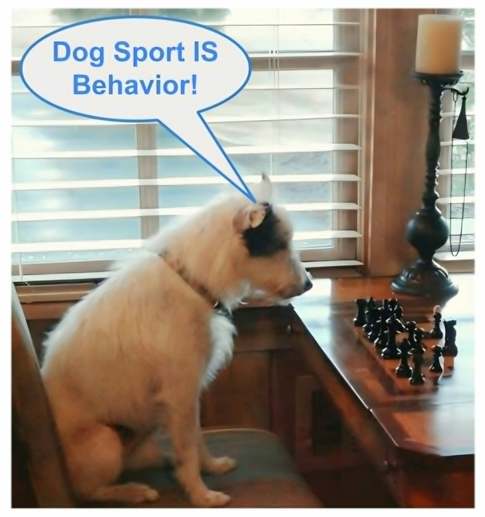 Cracking The (Behavior) Code
